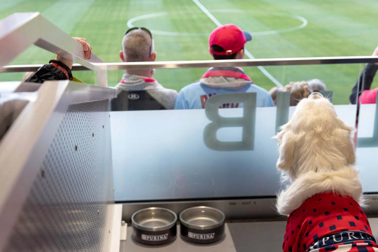 EVENT MARKETER: Purina Builds The First-Ever Dog-Friendly Section At An MLS